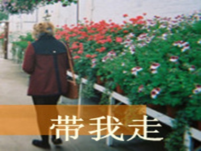 李梓熙和摄影师的精彩瞬间,明星李梓熙镜头下，优雅魅力绽放